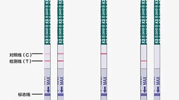 移植后不能用排卵试纸测怀孕
