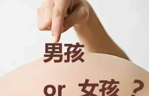 排卵期怀孕生男生女的概率一样
