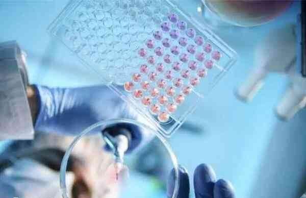 超长方案能抑制子宫内膜异位症的病灶
