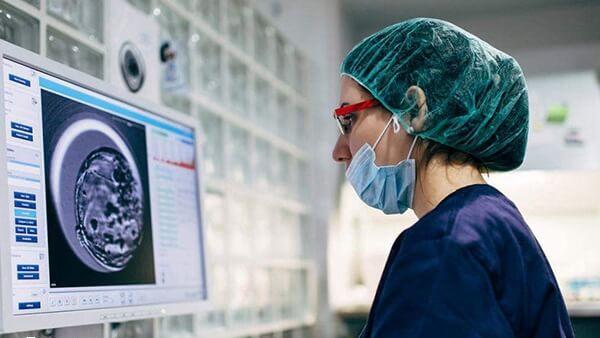 囊胚移植四天就可能着床成功