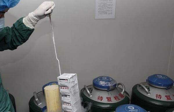 成都精子库供精条件严格