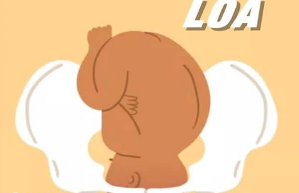 LOA示意图