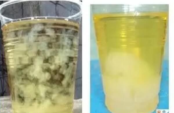 酒精测男女结果图片