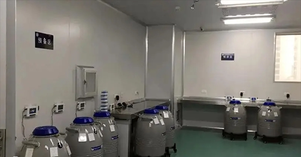 上海人类精子库精液保存区