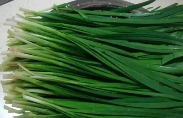 试管移植后过量摄入韭菜不利于胚胎着床