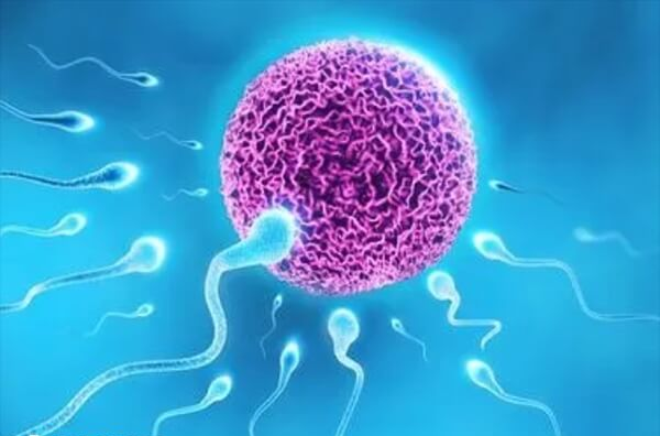 人工授精需要检查男性精子情况