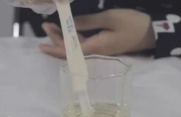 吸水棒朝下置于尿液中20秒