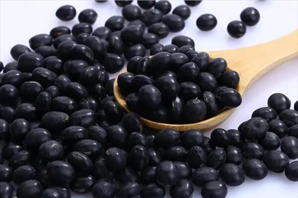 黑豆中雌激素含量高