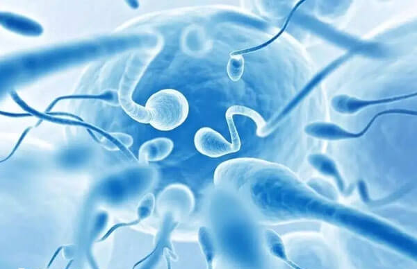 精子活力是指精子的运动能力