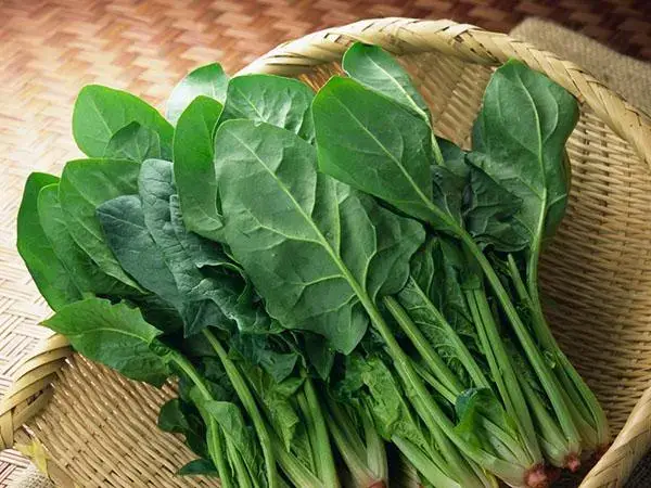 蔬菜富含铁能起到补血的作用