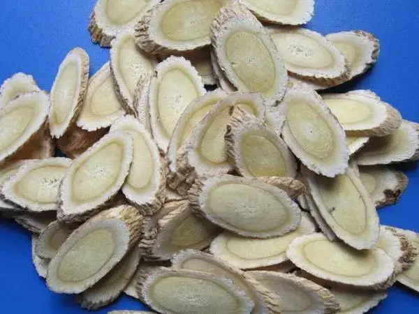 女性饮用黄芪水具有补益气血的作用