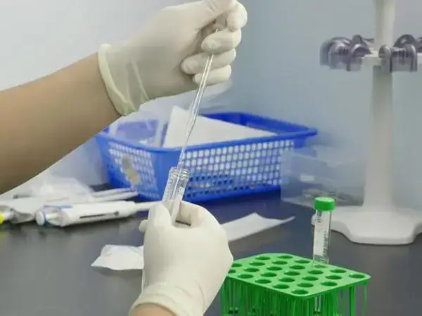 建议高龄做试管前调整好自己的身体情况