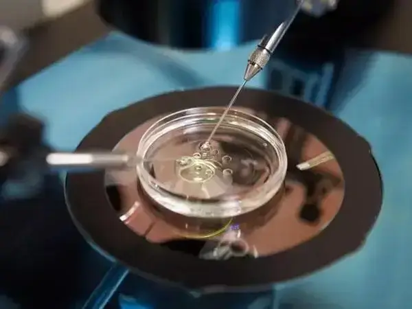 卵巢早衰会影响三代试管的成功率