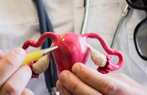 宫腔粘连是妇科常见疾病