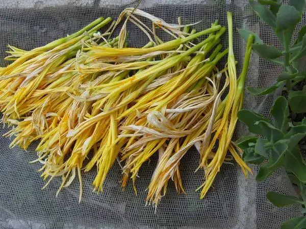 黄花菜虽然营养丰富但也要注意食用方法