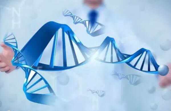 做三代试管婴儿之前应该充分了解相关信息