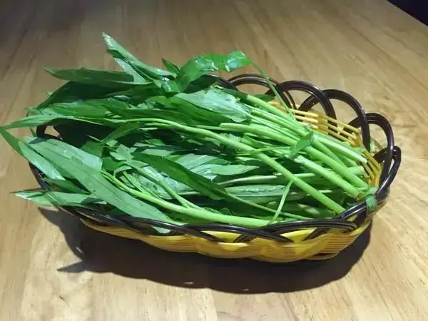 胚胎移植后吃空心菜的好处很多