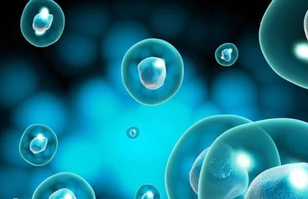 试管胎停再次怀孕要等2个月左右
