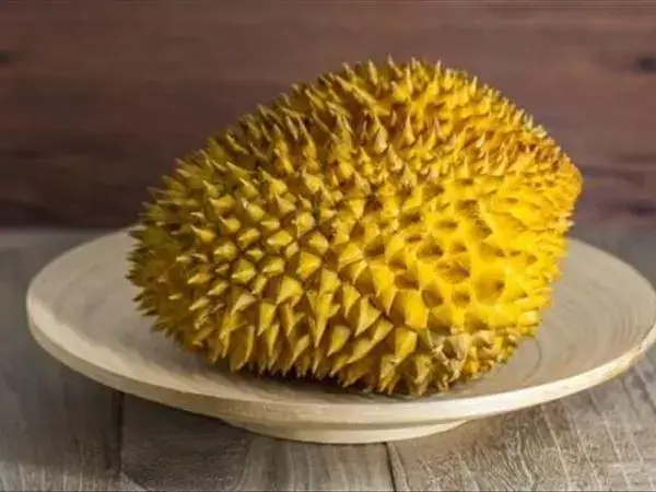 试管促排后吃榴莲的好处很多