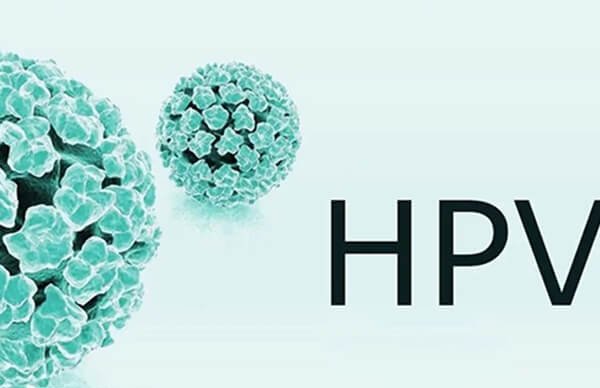 hpv阳性会影响试管成功率
