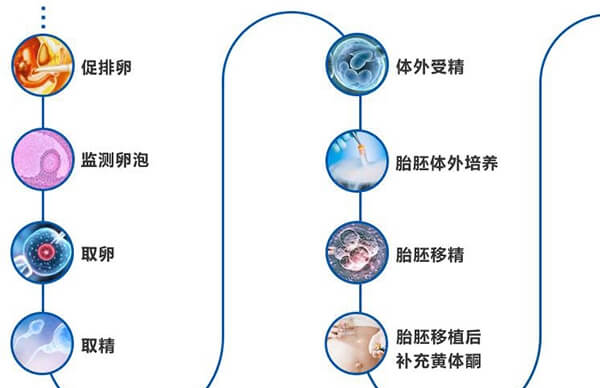 试管婴儿流程图解