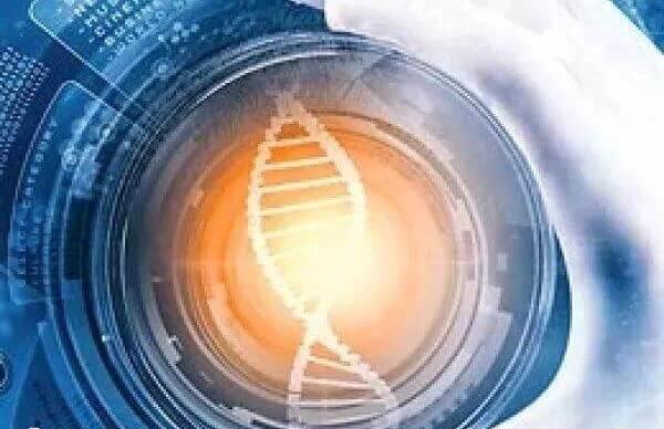 做试管三代技术的成功率比较高