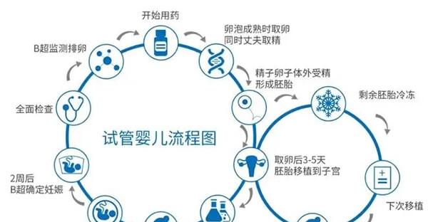 试管婴儿流程图