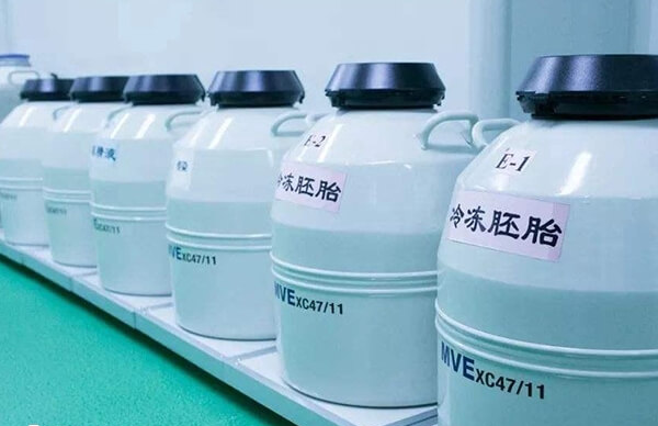 冻卵必须是已婚状态
