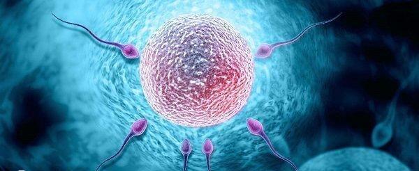 A级精子越低怀孕越困难