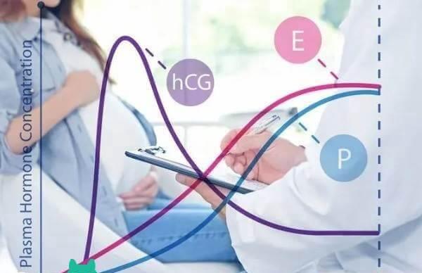 女性抗HCG抗体IGM阳性先转阴才能试管