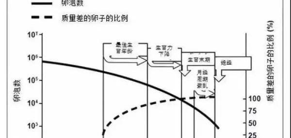 年龄与生育能力的关系