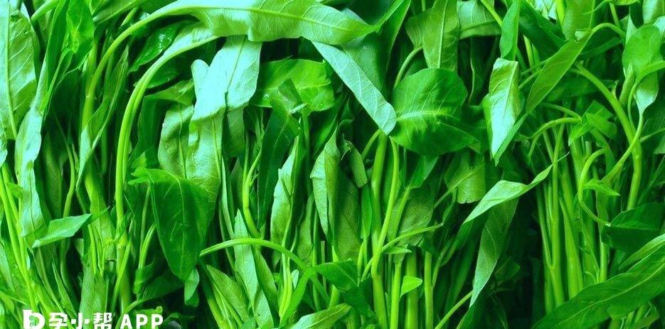 空心菜吃了可以清热解毒