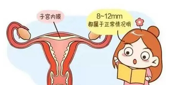 内膜10几毫米厚度刚好合适