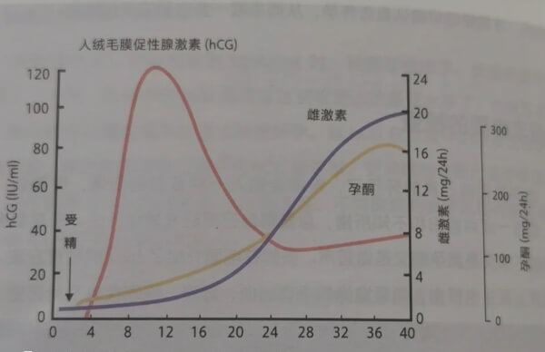 孕早期孕酮变化规律