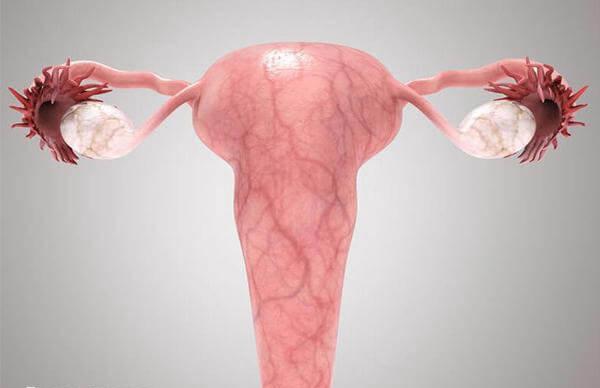 子宫腺肌症患者怀孕后要按时产检