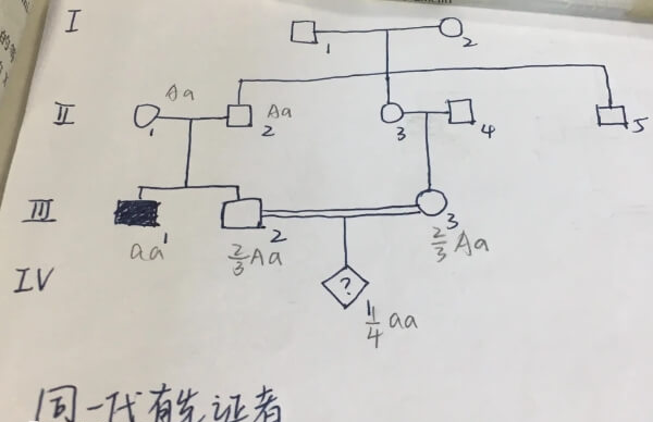 近亲结婚对后代影响最大