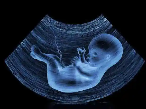 随着胎儿的发育孕妇会逐渐显怀