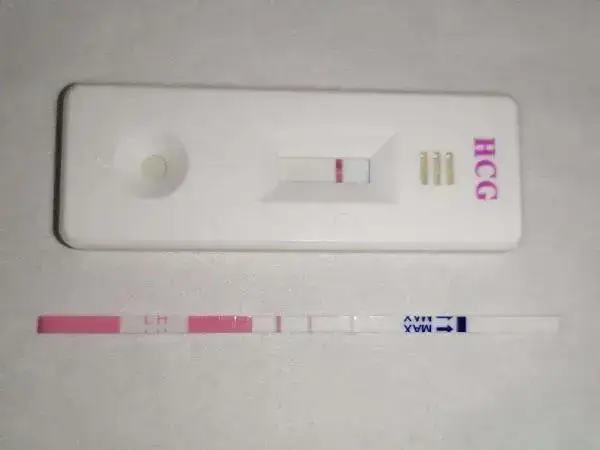 hcg即人绒毛膜促性腺激素