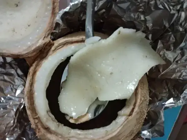 椰子里面有丰富的营养物质
