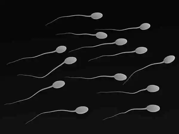 精子不液化会影响男性健康