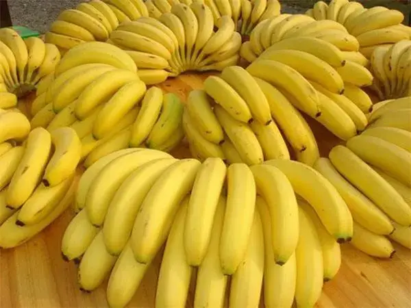 香蕉含有丰富的营养素