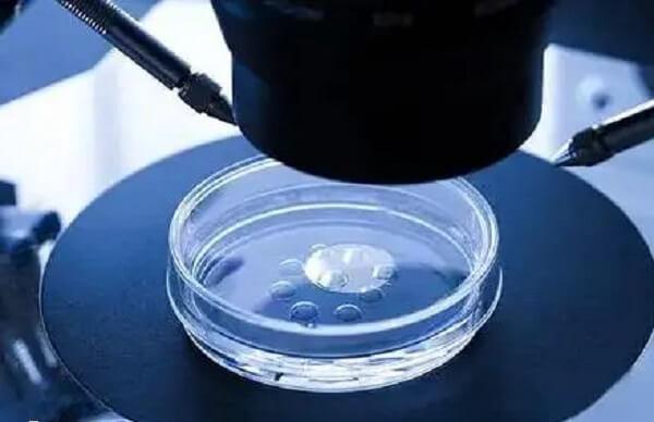 移植1个胚胎能预防多胞胎发生