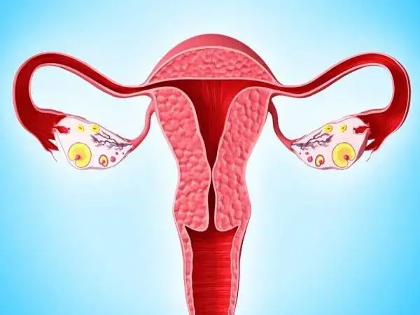 卵巢早衰会导致无法正常排卵