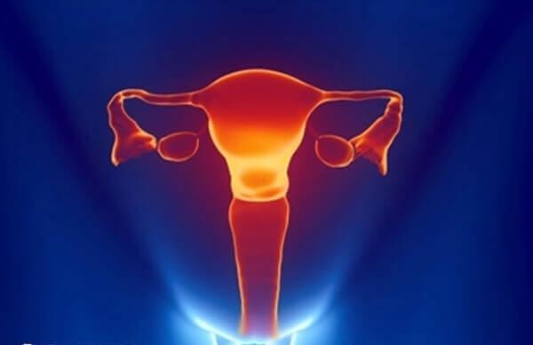 宫腔粘连是严重的妇科病