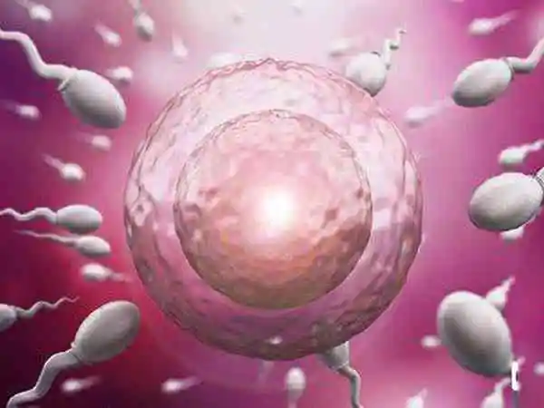 胚胎着床可能会引起出血