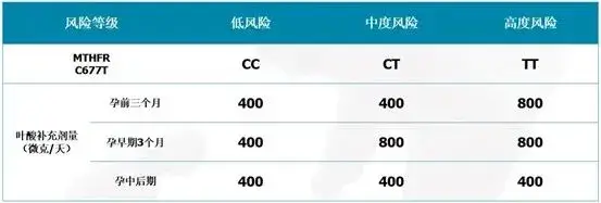 MTHFR基因各分型叶酸补充剂量