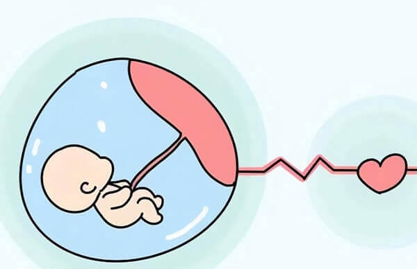 胎停育又称胚胎停育