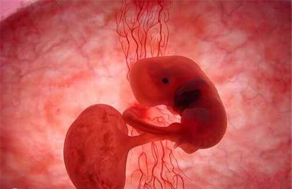 子宫环境不好胚胎可能不着床