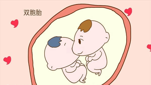 试管婴儿生双胞胎几率大于自然怀孕