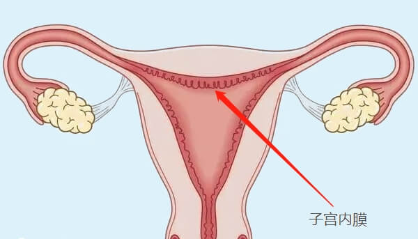 预防子宫内膜薄才是最好的应对方法